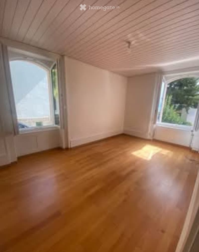 Bel appartement lumineux 2.5 pieces (5)