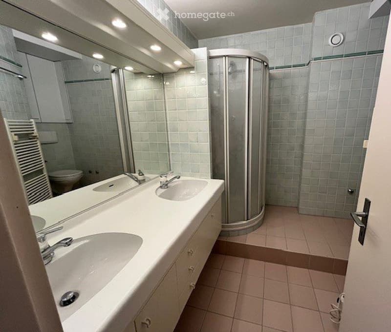 Appartement traversant au bord du lac avec vue magnifique (4)