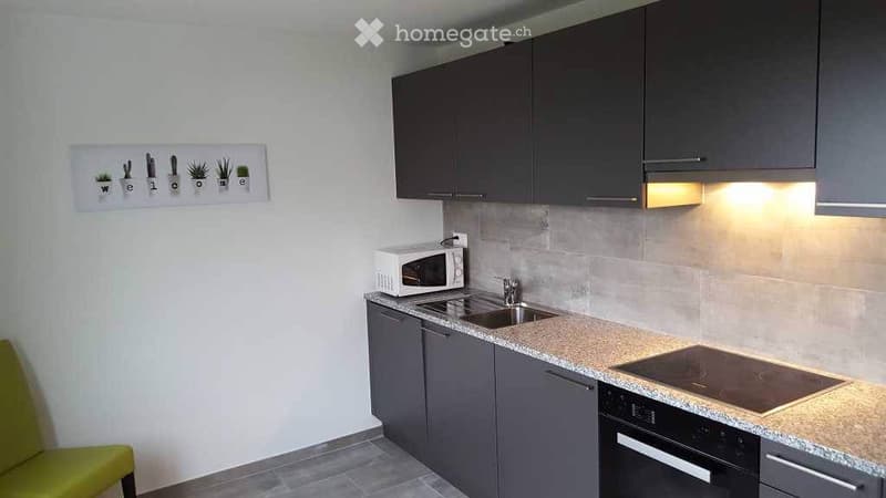 Chambres meublées neuves tout confort (2)
