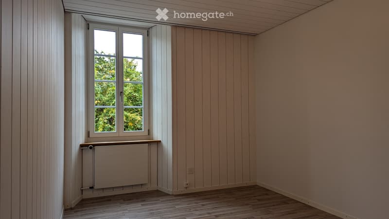 4 Zimmer, 100m2, 1. Etage im ehemaligen Winzerhaus (4)