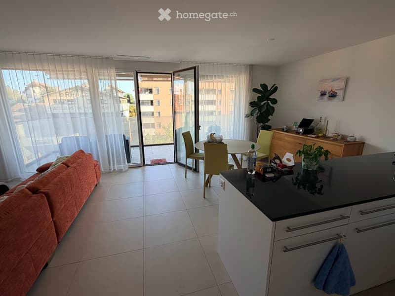 Appartement moderne très spacieux et idéalement situé (2)
