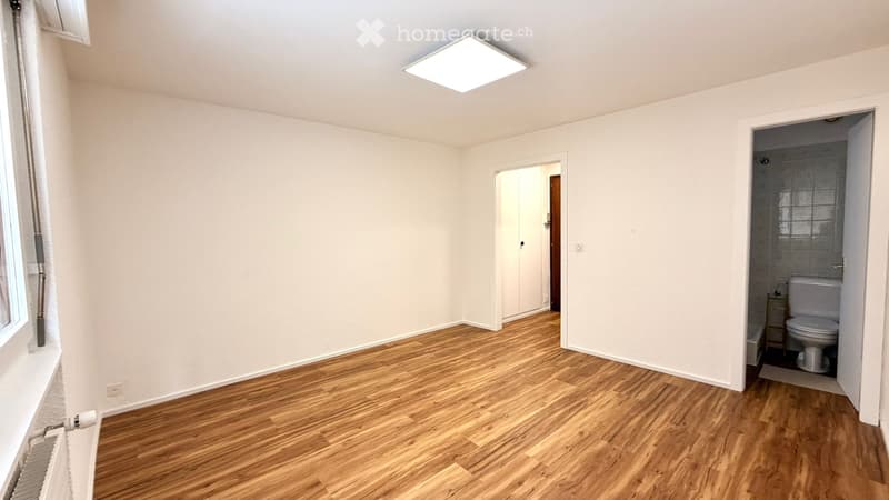 Studio crans Montana (4)