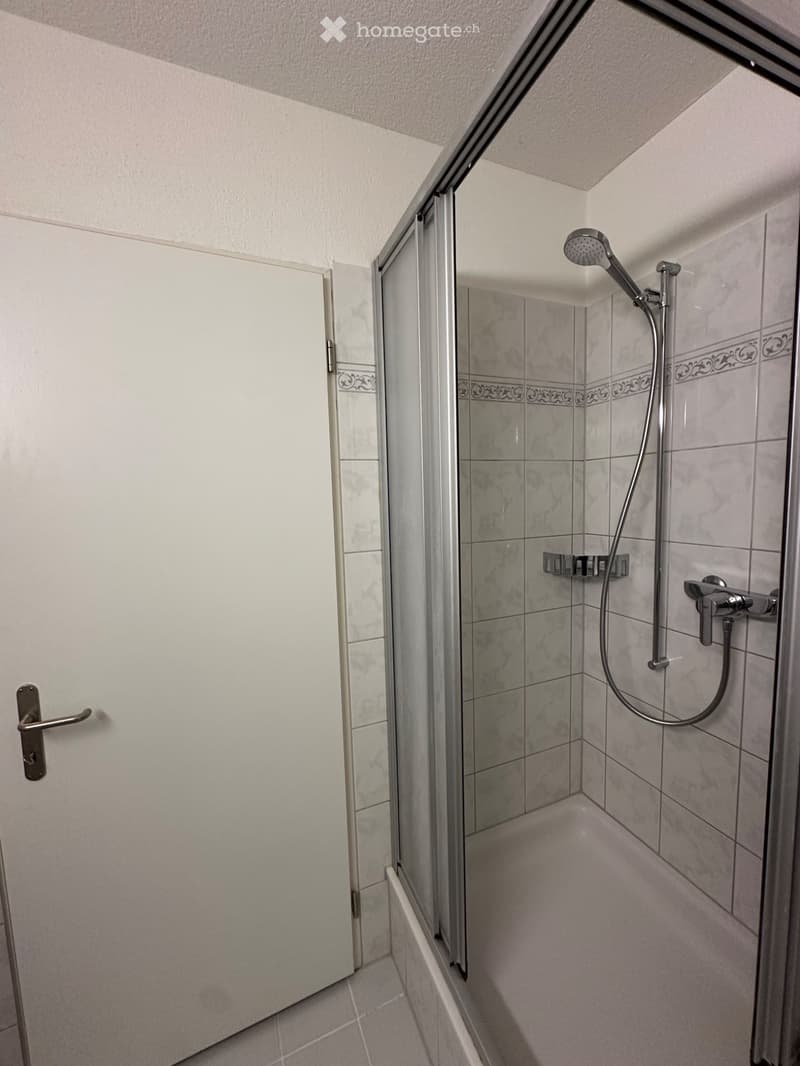 Möbilierte Wohung in Berikon zur Untermiete (5)