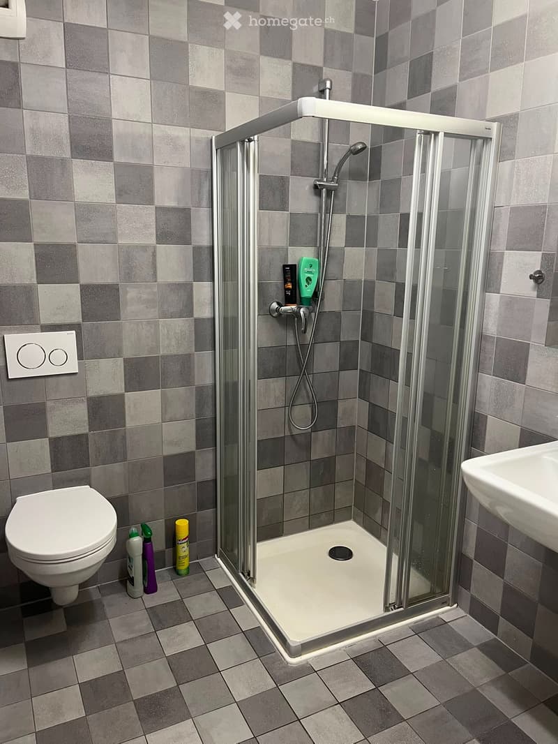 Top-Floor Flat with Terrace (62 m²) Renens Oct 1st (2)