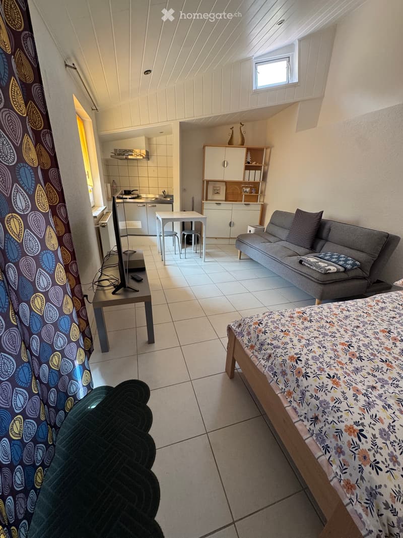 Studio meublé indépendant avec terrasse (3)