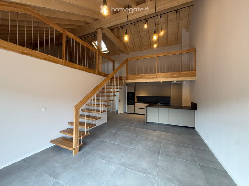 Superbe appartement neuf avec mezzanine (1)