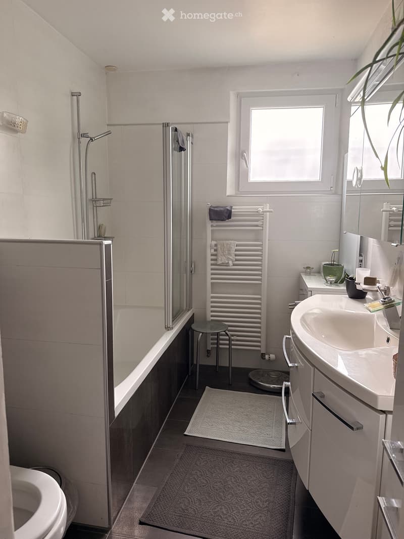 Petite chambre tranquille et lumineuse à louer (4)