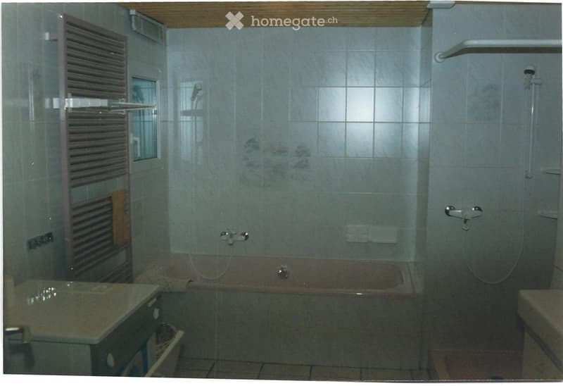 Les Verrières - Appartement au rez 5,5 pièces (11)
