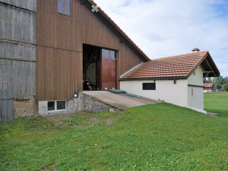 Les Verrières - Appartement au rez 5,5 pièces (10)