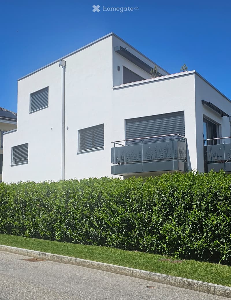 Studio moderne et lumineux à La Tour-de-Trême (1)