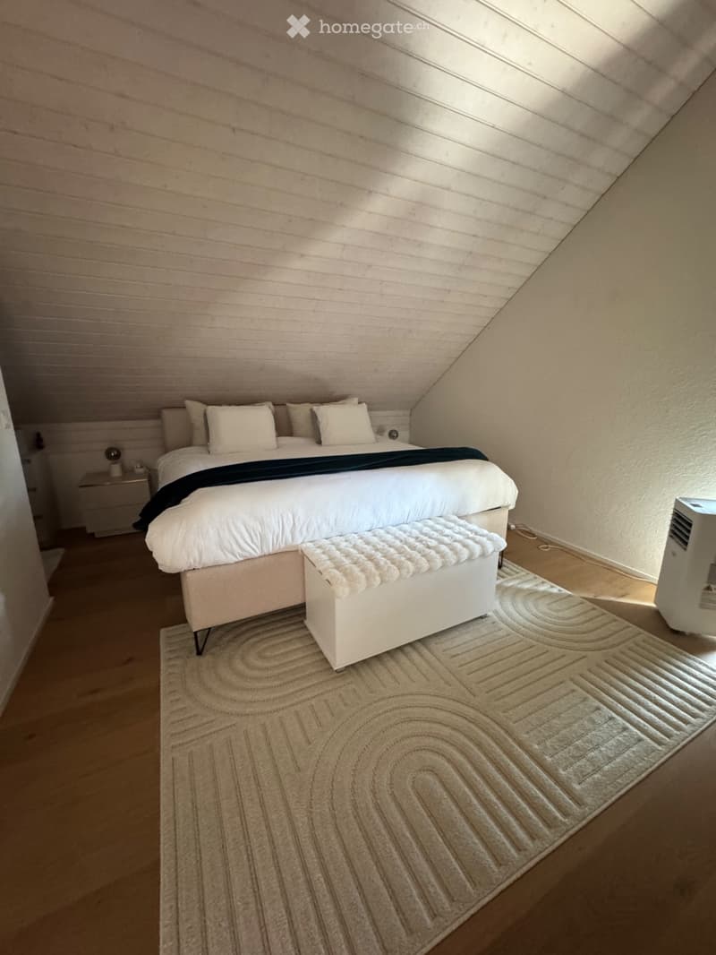 Reprise de bail : Appartement 3.5 pièces (3)