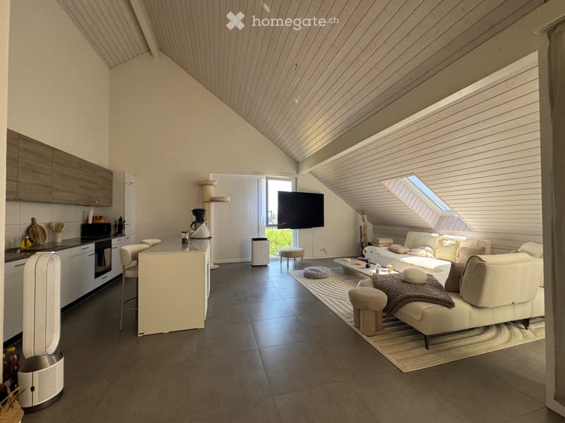 Reprise de bail : Appartement 3.5 pièces (2)