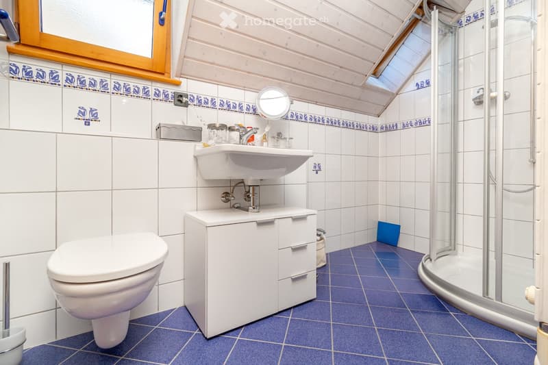 Appartement duplex st-maurice (5)