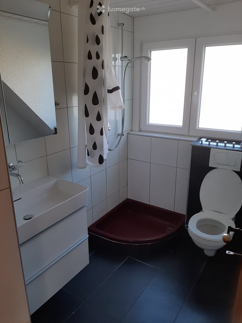 Charmante 2.5Zimmer-Dachgeschosswohnung mit großer Terrasse (3)