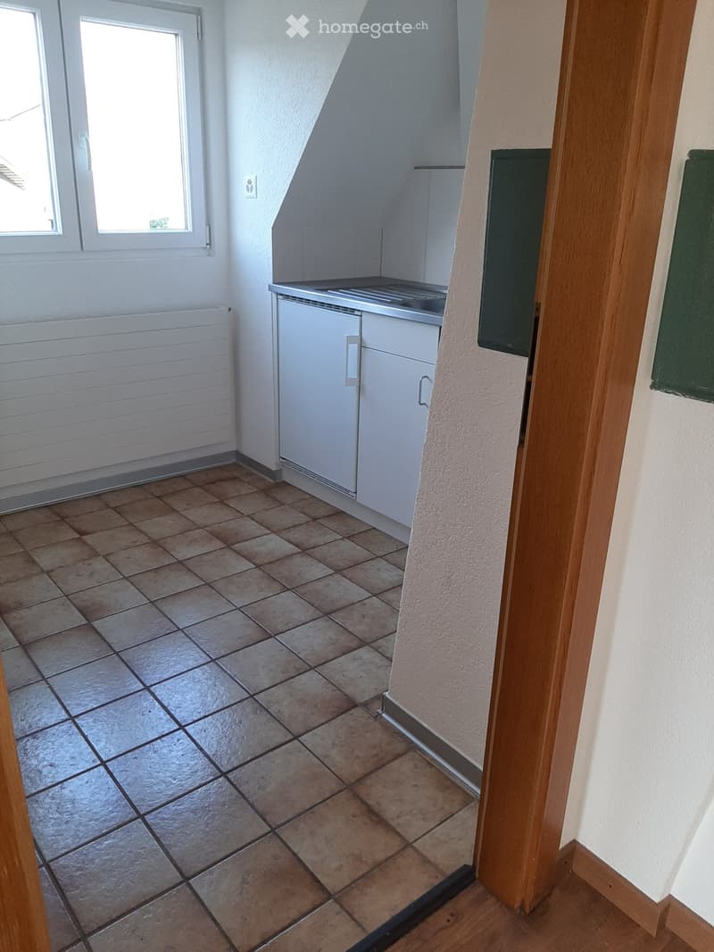 Charmante 2.5Zimmer-Dachgeschosswohnung mit großer Terrasse (5)