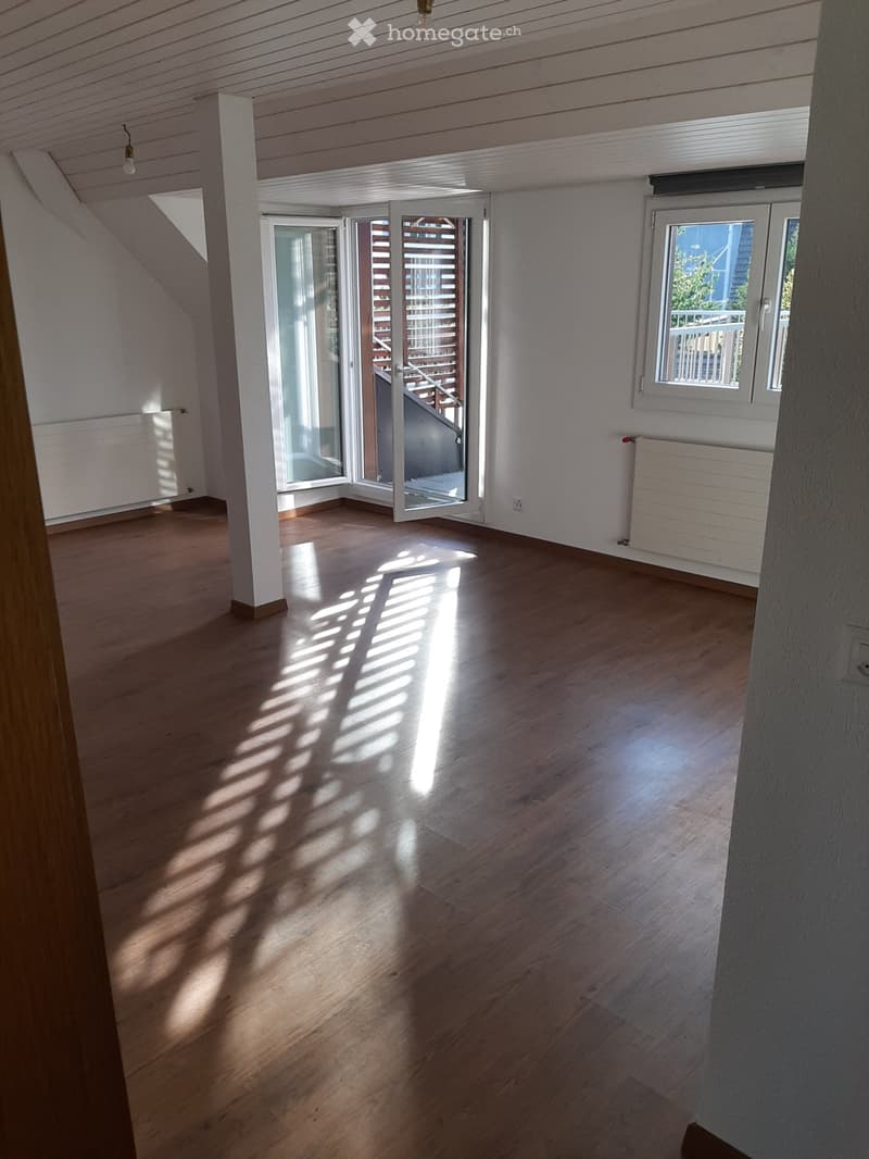 Charmante 2.5Zimmer-Dachgeschosswohnung mit großer Terrasse (2)