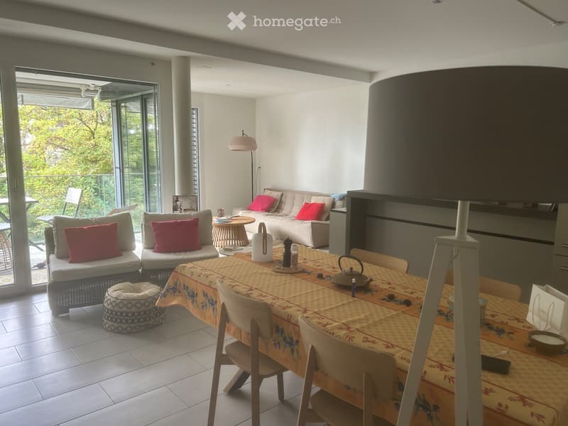 GRAND 2,5 pièces 70m2 - REPRISE DE BAIL 01.09.26 (5)