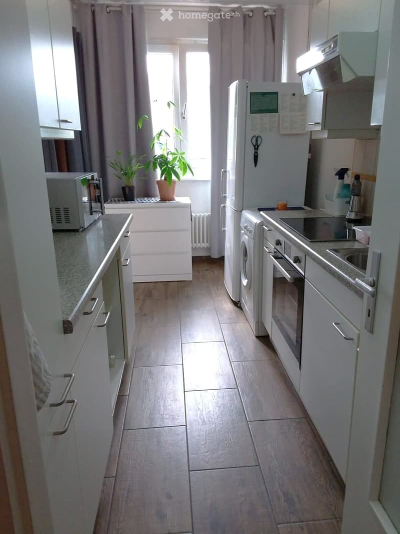 À louer bel appartement de 2 pièces à Grand-Lancy (2)
