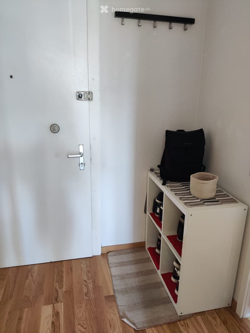 À louer bel appartement de 2 pièces à Grand-Lancy (4)