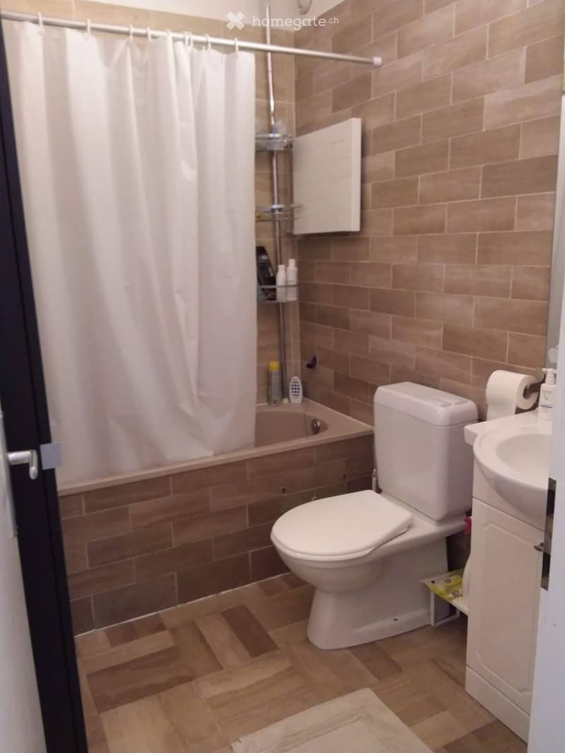 À louer bel appartement de 2 pièces à Grand-Lancy (3)