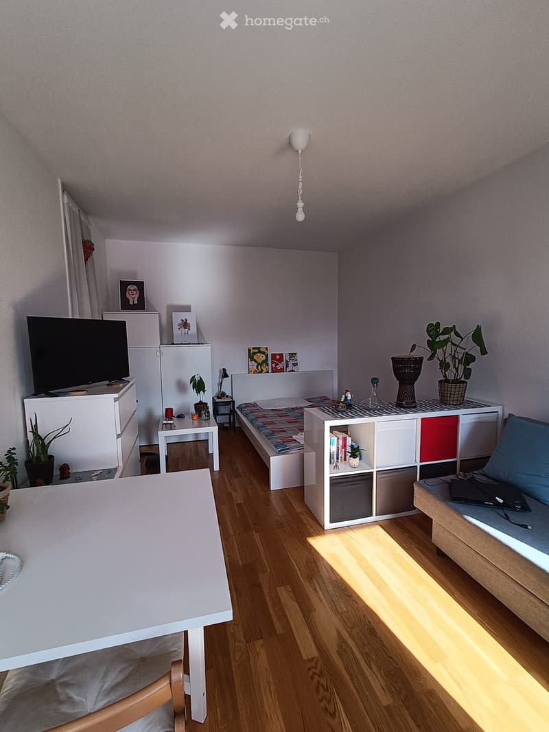 À louer bel appartement de 2 pièces à Grand-Lancy (1)