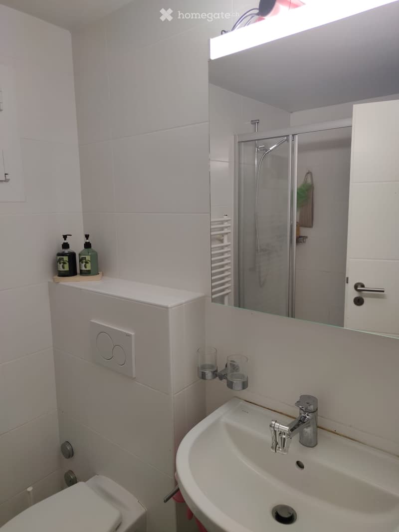 Appartement à louer à Oron (5)