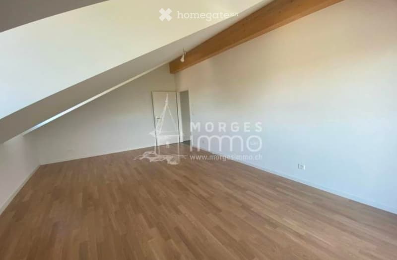 Magnifique appartement à Ballens (4)