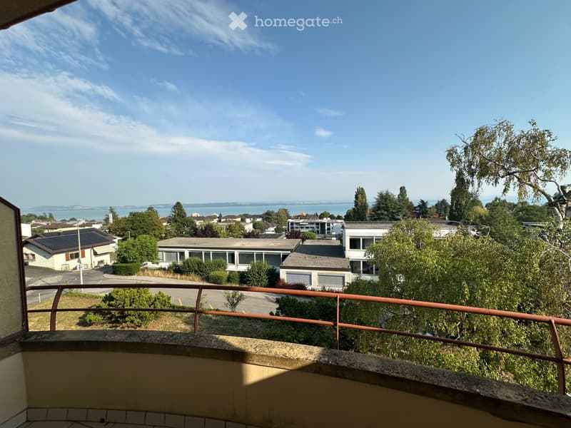 3.5 pièces avec vue (1)