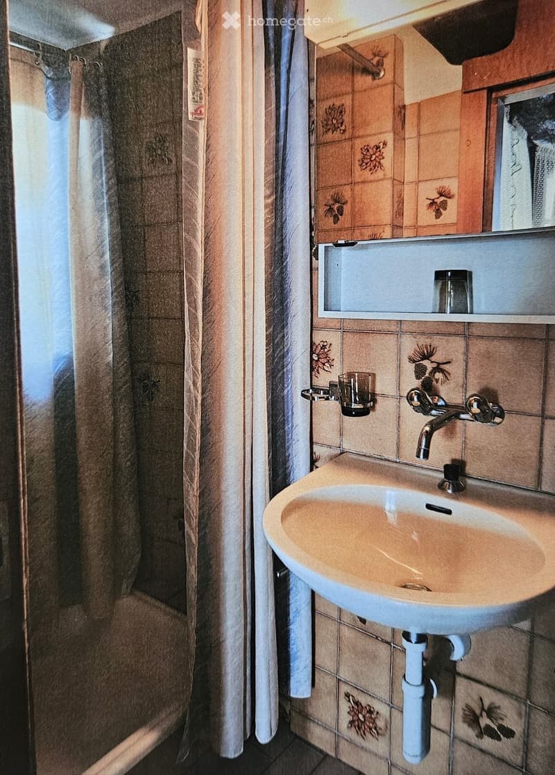 A louer appartement 1 pièce 1/2 à Sierre (4)
