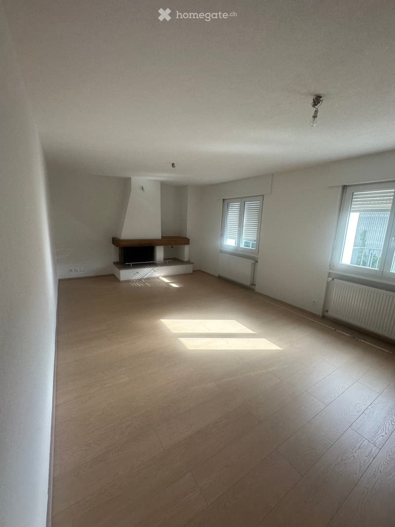 Appartement 5.5 pièces entièrement rénové à louer (2)