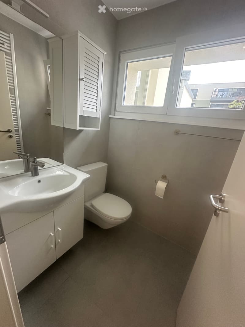 Appartement 5.5 pièces entièrement rénové à louer (4)