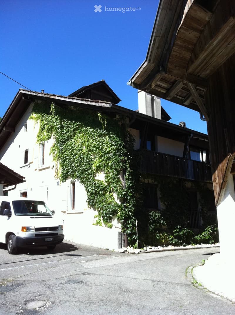 Bel appartement en duplex avec cachet de 3,5 pces (3)