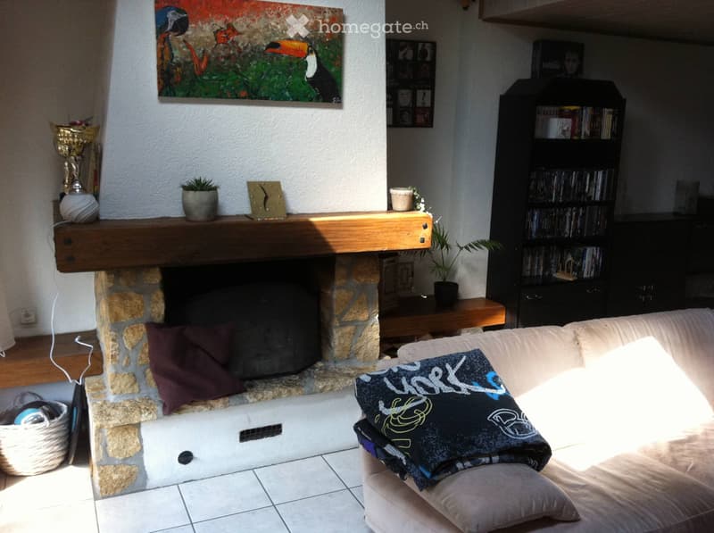 Bel appartement en duplex avec cachet de 3,5 pces (2)