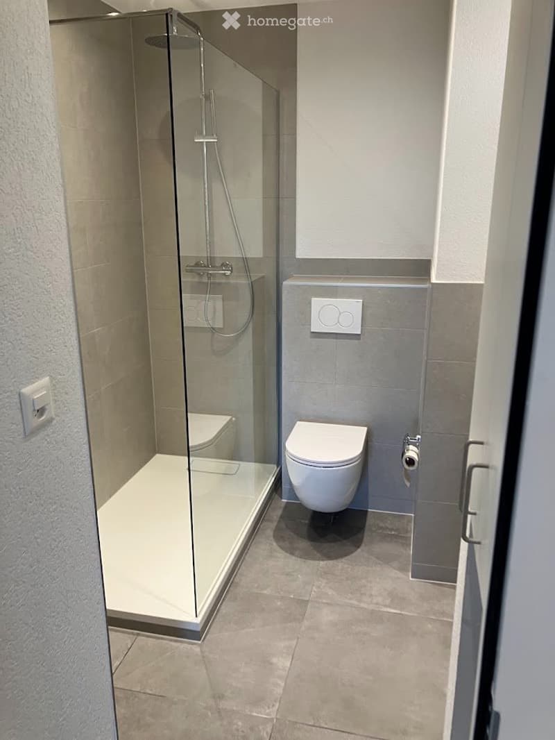 Appartement de 4.5 pces au 3ème avec ascenseur et 2 balcons (4)