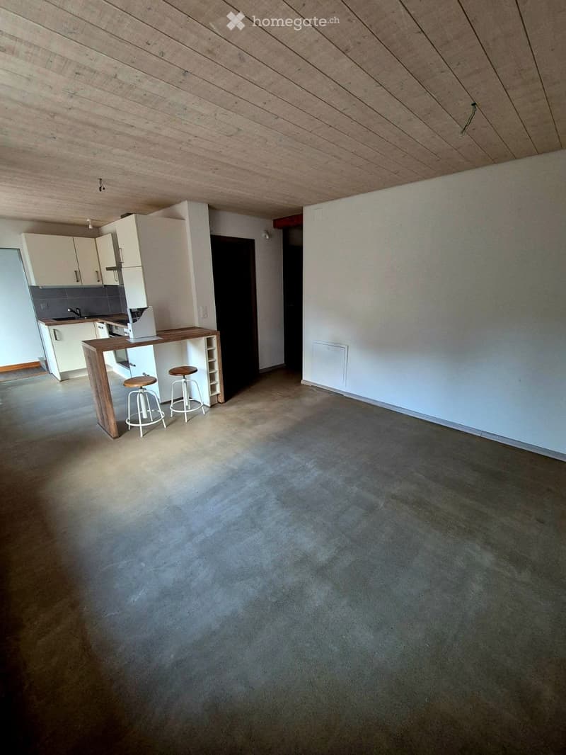 Appartement 2.5 pcs libre de suite (2)