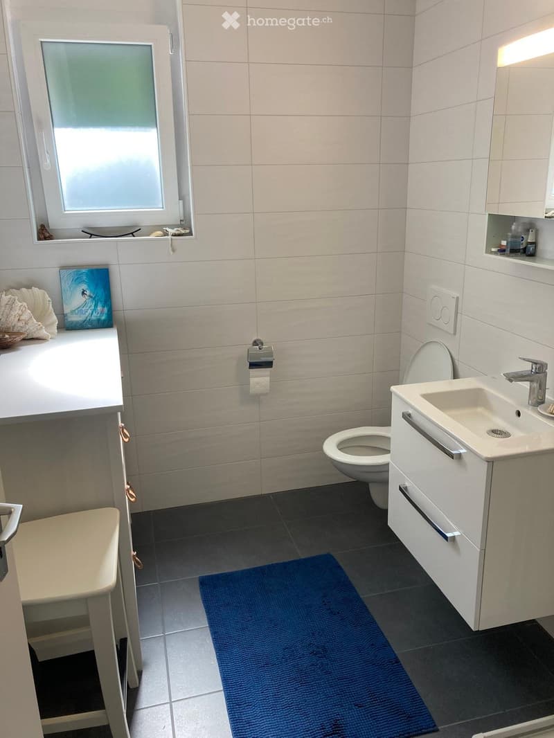 Appartement à louer à Chate-st-Denis (4)