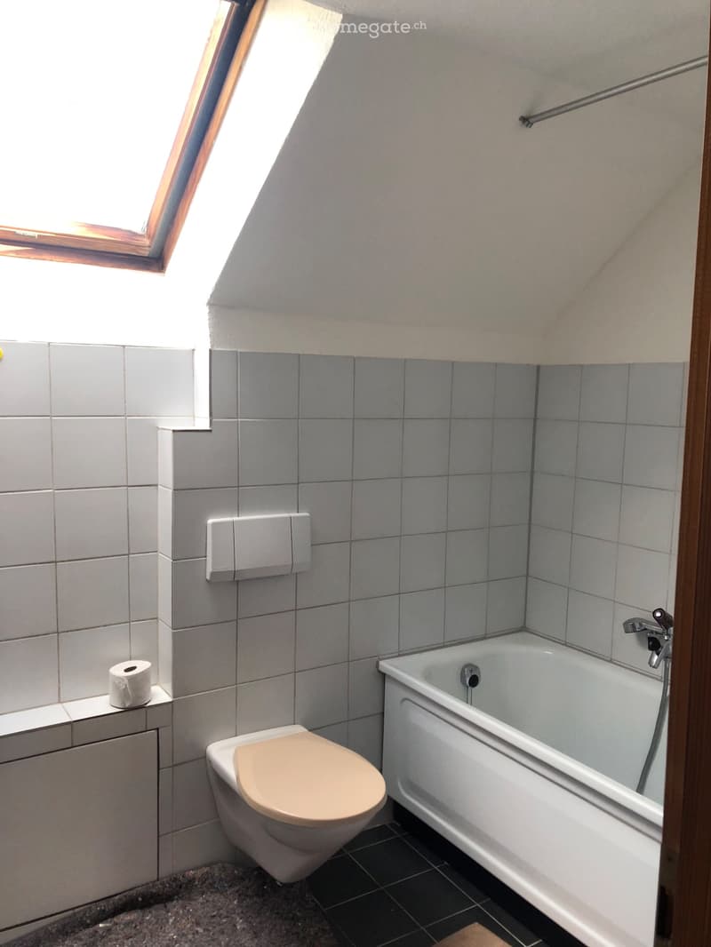 Charmante Dachwohnung in ruhigem Altbau (5)