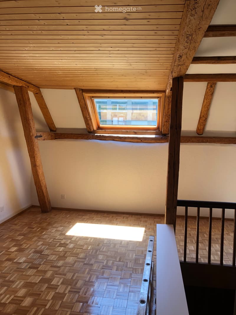 Charmante Dachwohnung in ruhigem Altbau (1)