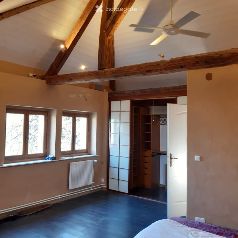Charmant appartement en attique avec jardin à Meyrin village (1)