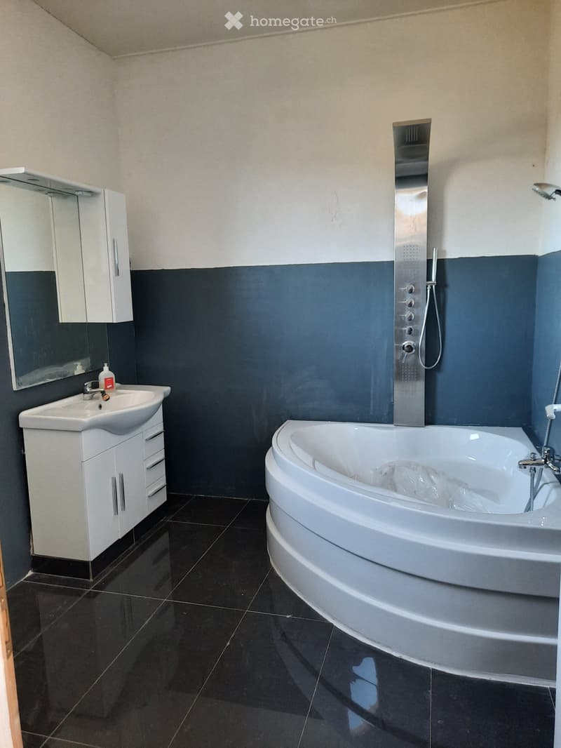 Appartement de 2,5 pièces avec terrasse (3)