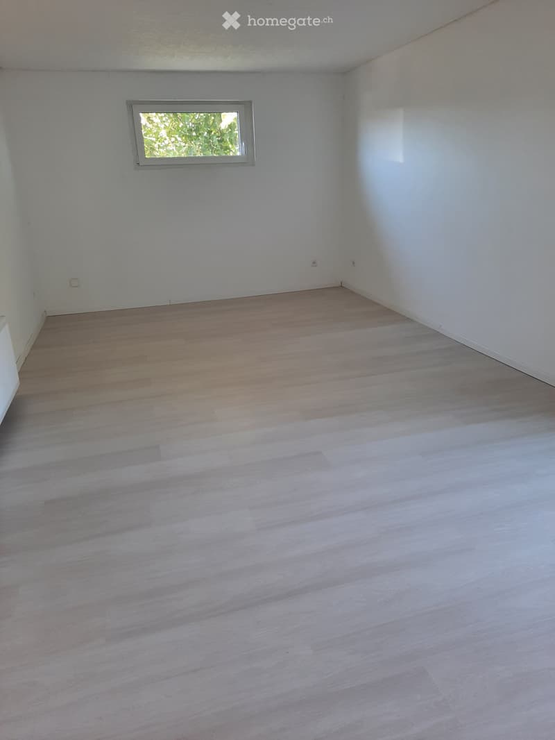 Appartement de 2,5 pièces avec terrasse (2)