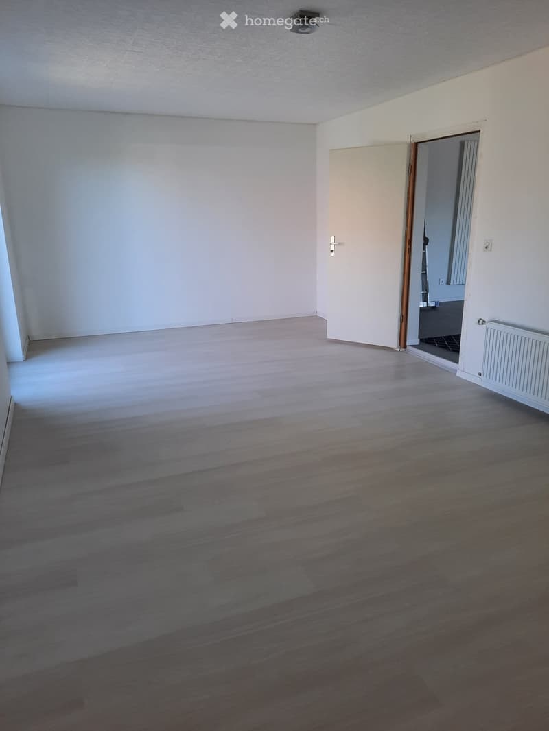 Appartement de 2,5 pièces avec terrasse (4)
