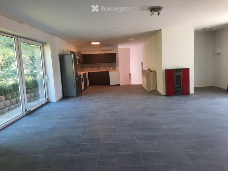 Appartement de 2,5 pièces avec terrasse (1)