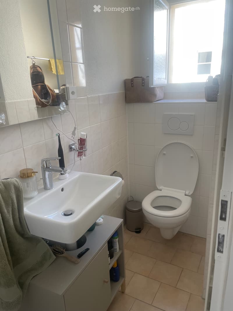 Appartement 1,5 pc vue imprenable centre Vevey (4)