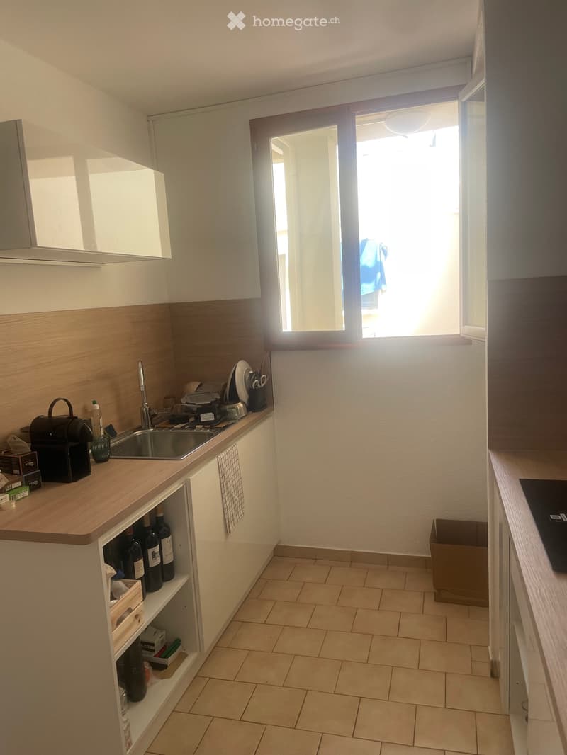 Appartement 1,5 pc vue imprenable centre Vevey (3)