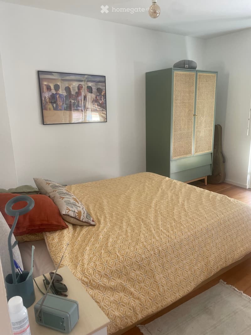 Appartement 1,5 pc vue imprenable centre Vevey (1)