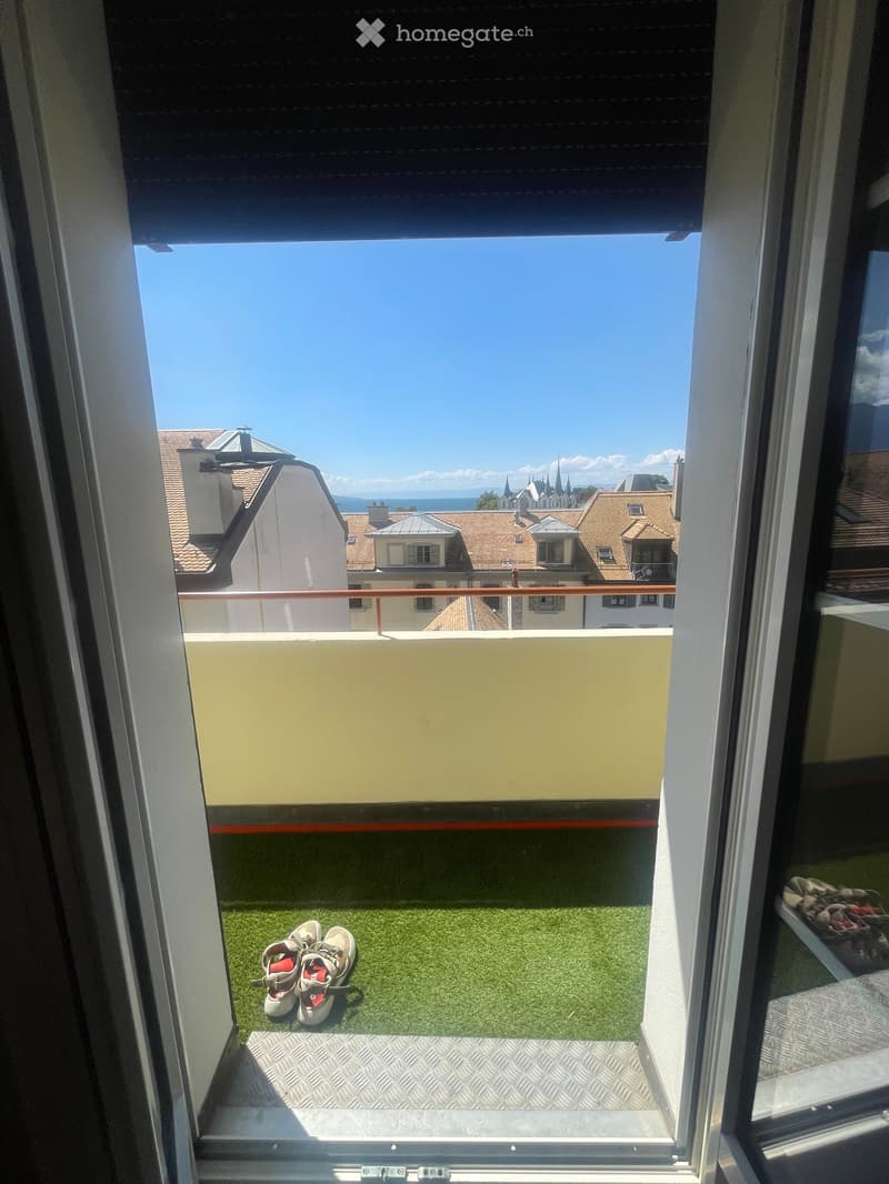 Appartement 1,5 pc vue imprenable centre Vevey (5)