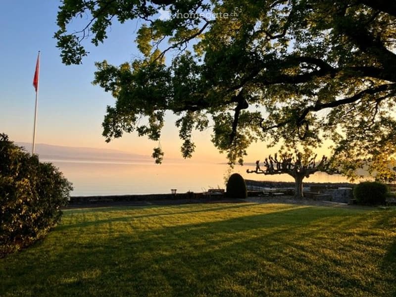 Villa Pieds dans l'Eau Collonge-Bellerive (2)