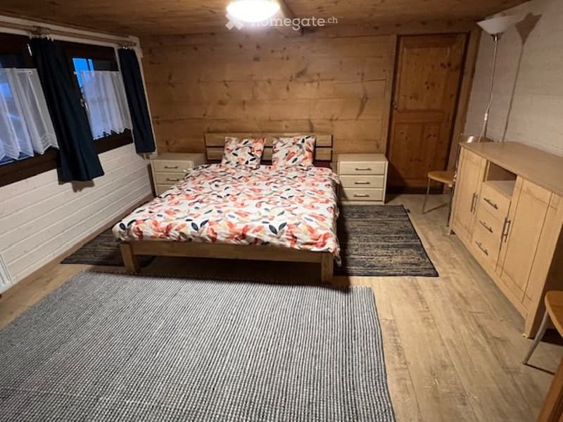 leysin, meublé, vieux chalet, rénové, saison d'été (3)