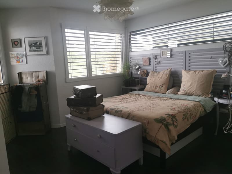 Appartement spacieux et contemporain à louer (3)